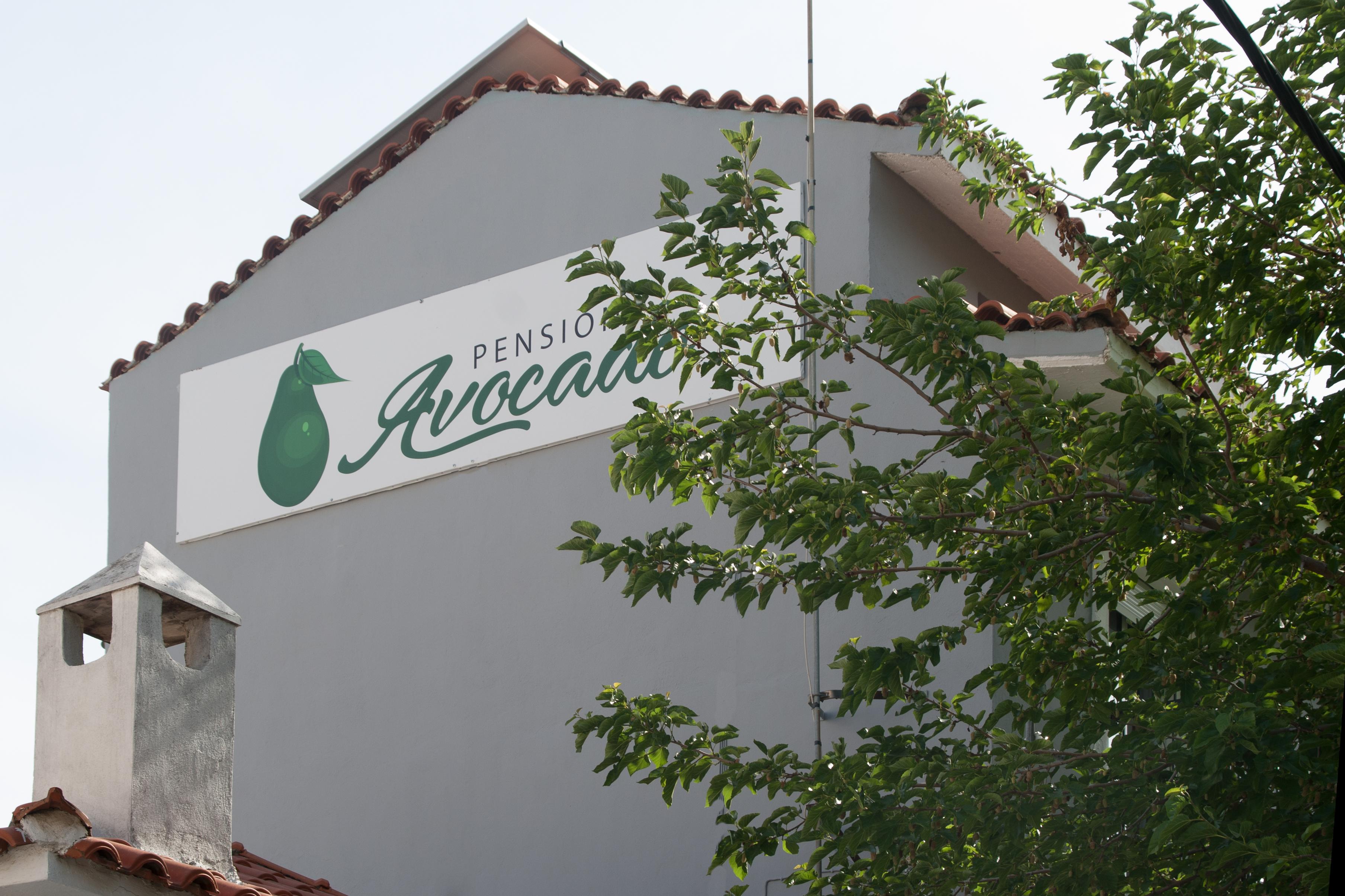Avocado Skiathos Екстер'єр фото